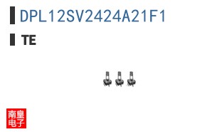 DPL12SV2424A21F1