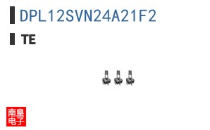 DPL12SVN24A21F2