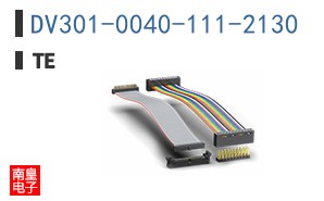 DV301-0040-111-2130