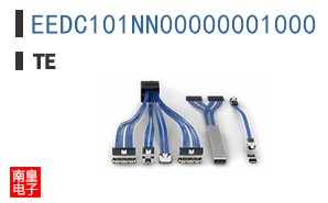 EEDC101NN00000001000