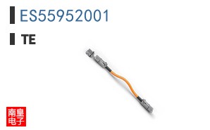 ES55952001