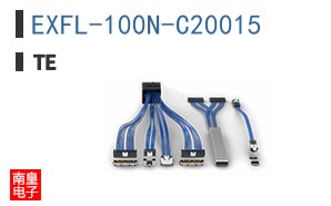 EXFL-100N-C20015
