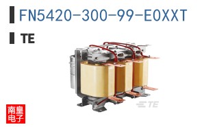 FN5420-300-99-E0XXT