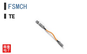 FSMCH