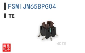 FSMIJM65BPG04
