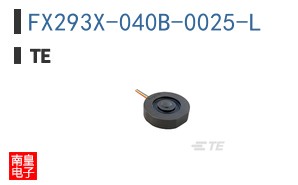 FX293X-040B-0025-L