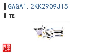 GAGA1.2KK2909J15
