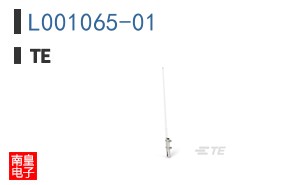 L001065-01