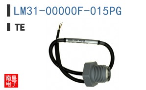 LM31-00000F-015PG