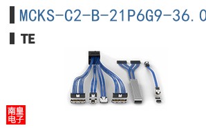 MCKS-C2-B-21P6G9-36.0