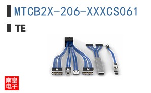 MTCB2X-206-XXXCS061