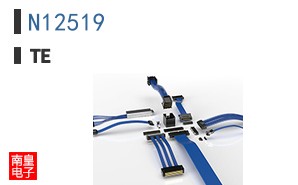 N12519