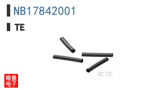 NB17842001