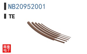 NB20952001