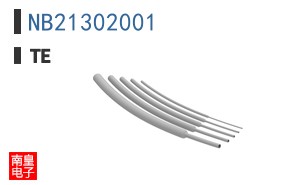 NB21302001