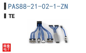 PAS88-21-02-1-ZN