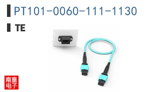 PT101-0060-111-1130