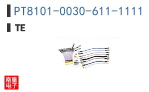 PT8101-0030-611-1111