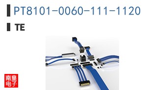 PT8101-0060-111-1120