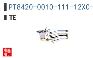 PT8420-0010-111-12X0-8253