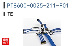 PT8600-0025-211-F01