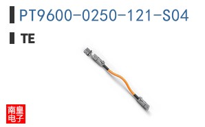 PT9600-0250-121-S04