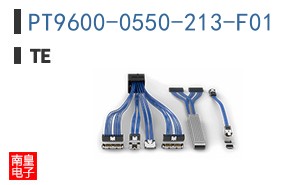 PT9600-0550-213-F01