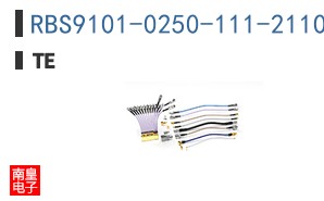 RBS9101-0250-111-2110