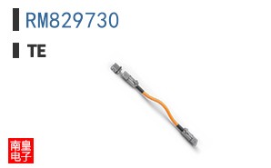RM829730