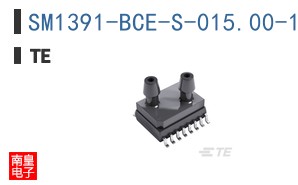 SM1391-BCE-S-015.00-131