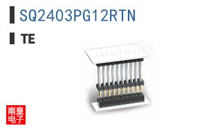 SQ2403PG12RTN