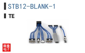 STB12-BLANK-1