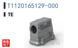 T1120165129-000