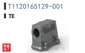 T1120165129-001