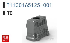 T1130165125-001