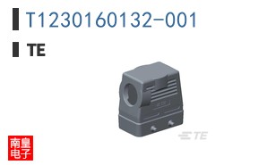 T1230160132-001