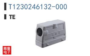 T1230246132-000