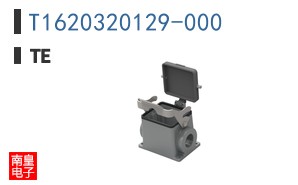 T1620320129-000
