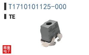 T1710101125-000