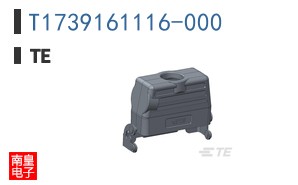 T1739161116-000