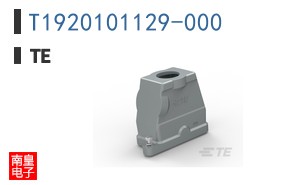 T1920101129-000