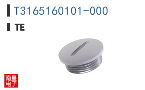 T3165160101-000