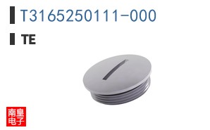 T3165250111-000