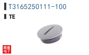 T3165250111-100