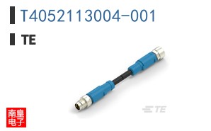 T4052113004-001