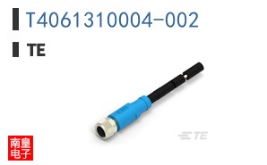 T4061310004-002