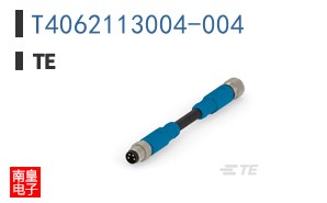 T4062113004-004