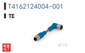 T4162124004-001