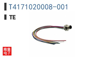 T4171020008-001