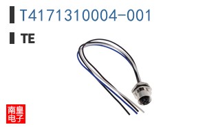 T4171310004-001